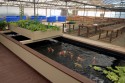 Video Tour of our facility